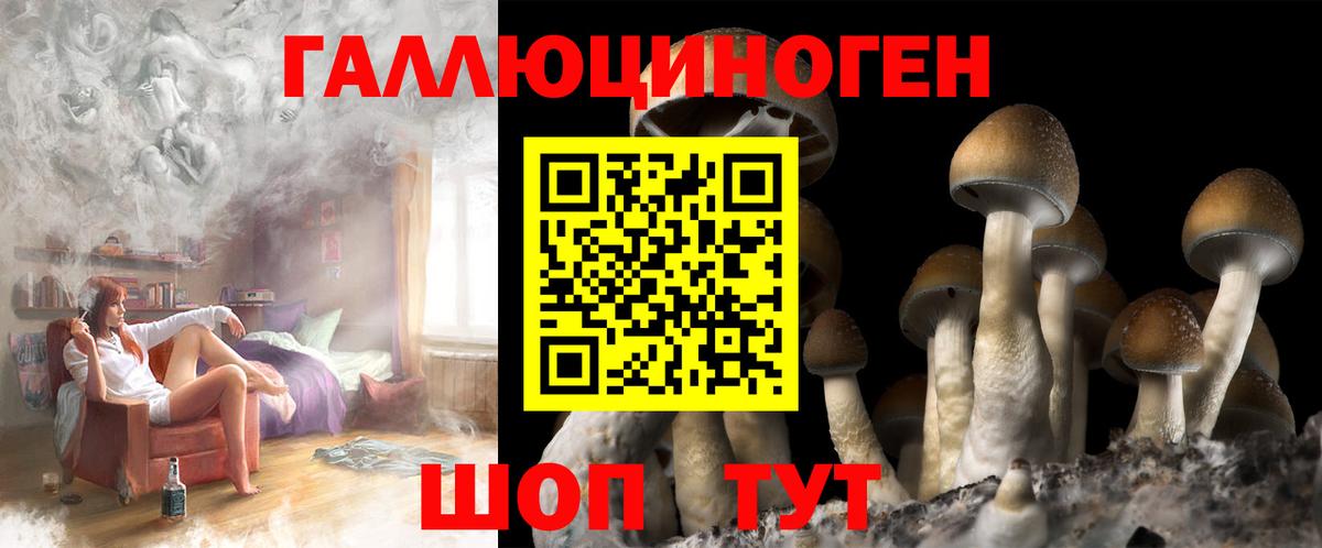 Псилоцибиновые грибы Psilocybe  Псилоцибиновые грибы Psilocybine cubensis  где купить наркотик  Вход с VPN  Камышин 